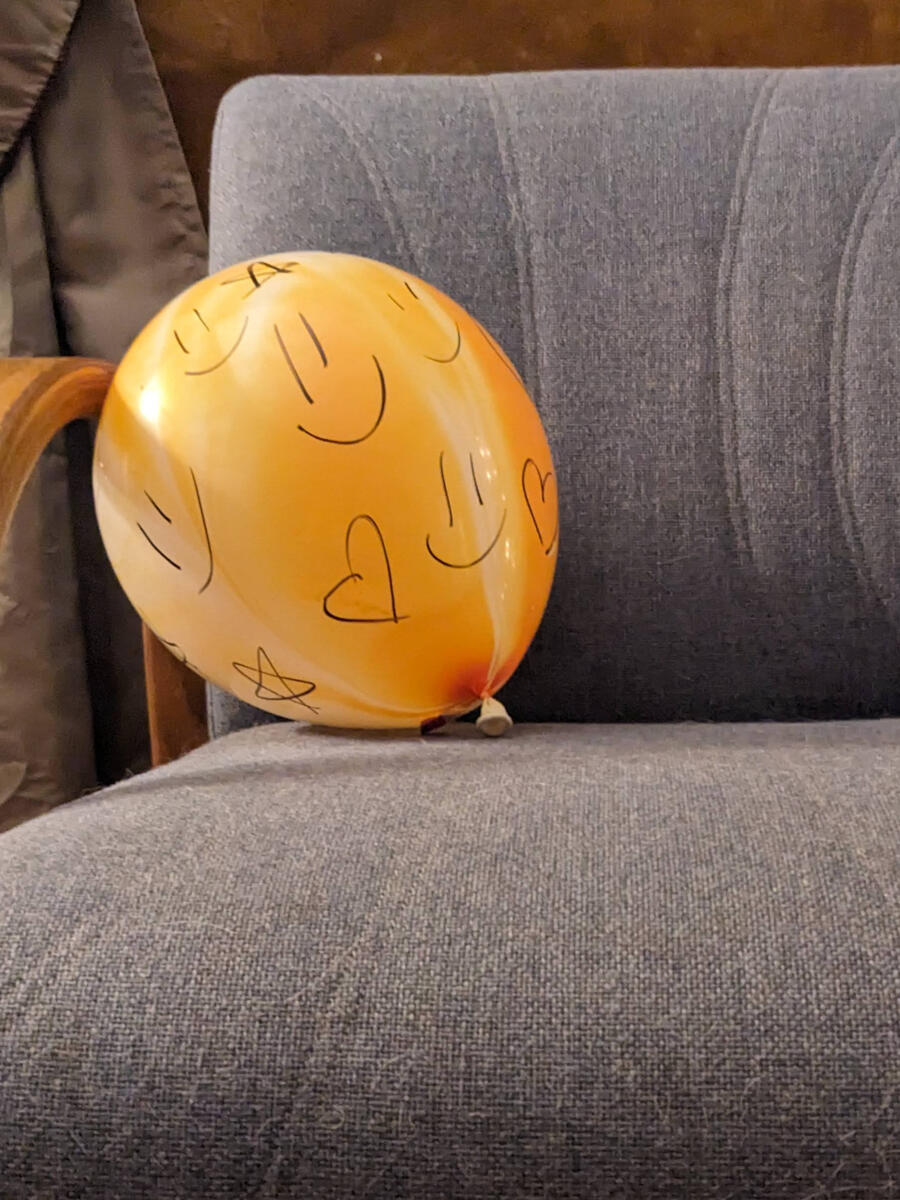 The Missing Dinosaur